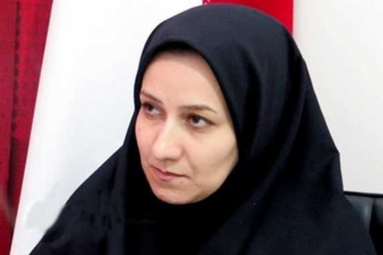 طرح ساده‌سازی مراحل شروع کسب‌وکار در استان زنجان اجرا می‌شود