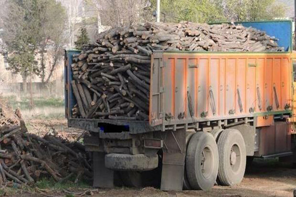 کشف بیش از18 تن چوب قاچاق در سلطانیه
