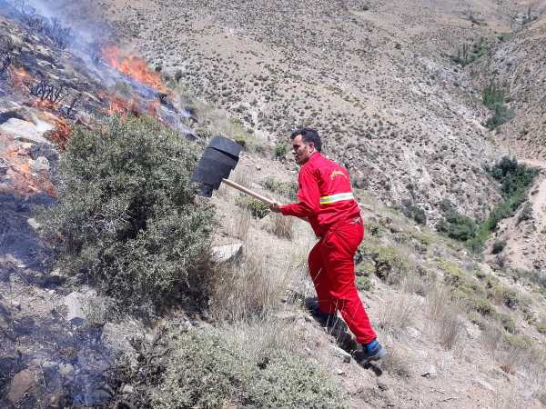 بیش از 7 هکتار از اراضی ملی روستای چمرود شهرستان سلطانیه در آتش سوخت