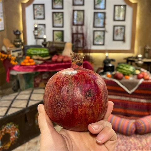 برگزاری مراسم شب يلدای زنجانی در موزه گیاهان دارویی