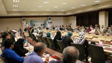 مجموعه آثار بانوان داستان‌نویس زنجانی «طوبا» رونمایی شد