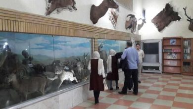 به مناسبت هفته هوای پاک بازدید از موزه تاریخ طبیعی زنجان رایگان شد