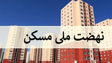استفاده از تیم کاری متخصص و توانمند در اجرای پروژه های مسکن ملی
