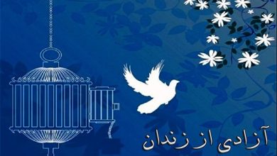 آزادی زندانی با گذشت از 110 عدد سکه به عشق امام رئوف در زنجان